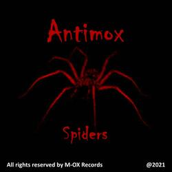 Spiders