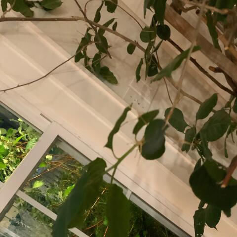 dead builder (instrumental) [remix]