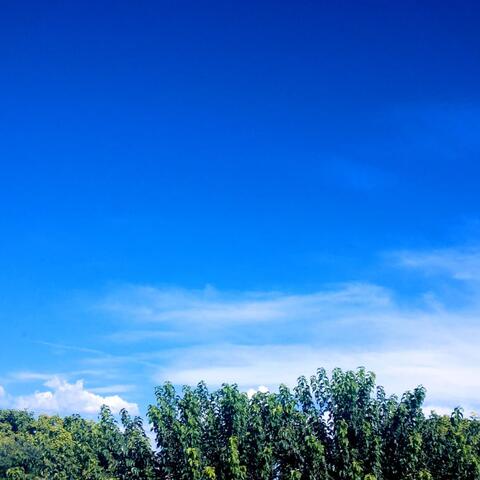 Fly Away