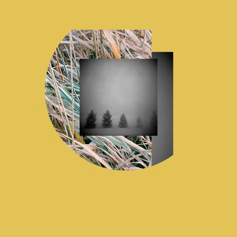 how it feels to love you (demo)