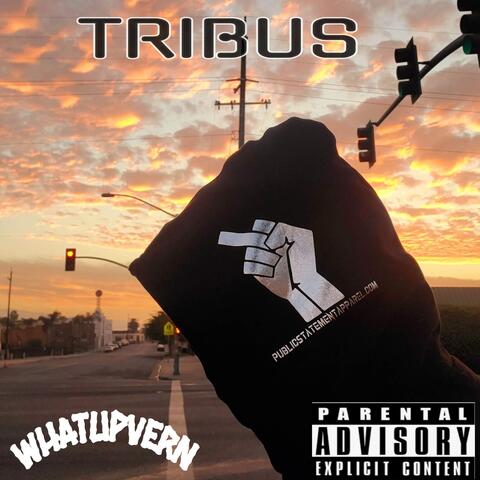 TRIBUS
