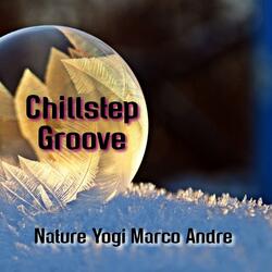 Chillstep Groove
