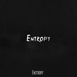 Entropy