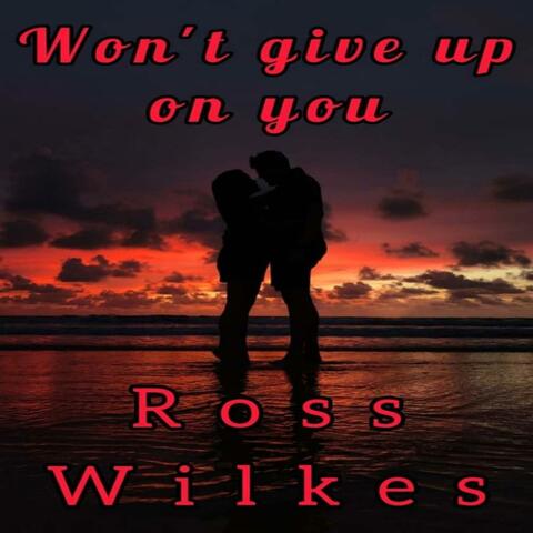 Won't Give Up On You
