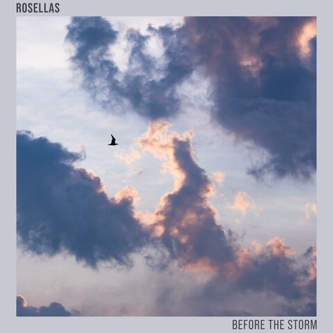 Before The Storm