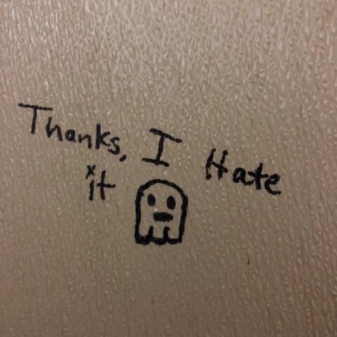 THANKS, I HATE IT