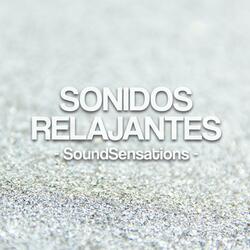 Sonidos Relajantes