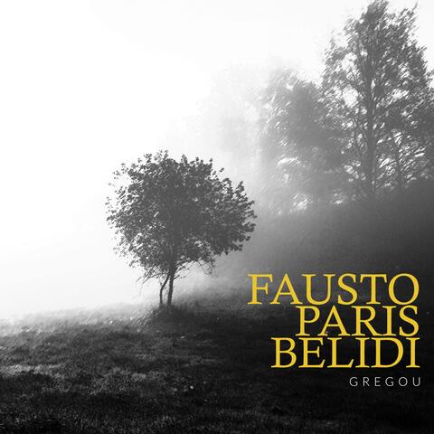 Fausto Paris Belidi