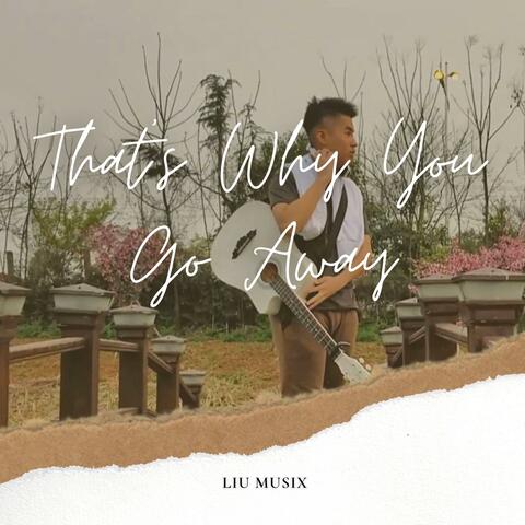 That's Why You Go Away (Acoustic Guitar Fingerstyle)