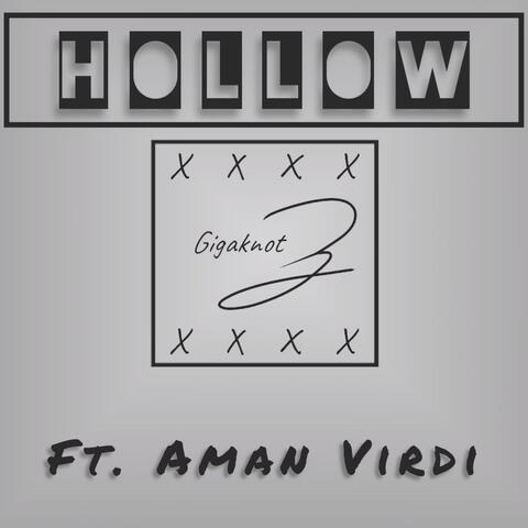 HOLLOW (feat. Aman Virdi)