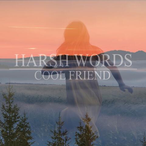HARSH WORDS