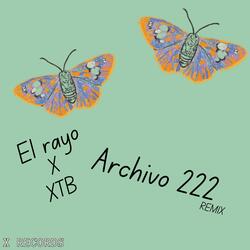 Archivo 222 (feat. El Rayo)