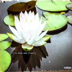 lily pads and flowers (feat. ShieGhai)