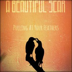 Pulling At Your Feathers