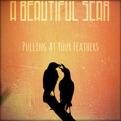 Pulling At Your Feathers (Pre-album Mix)