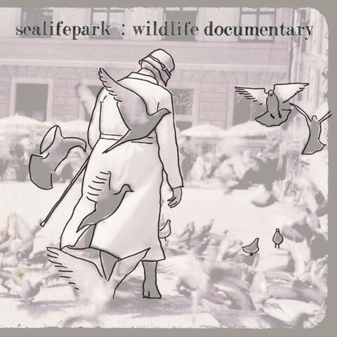 Wildlife Documentary
