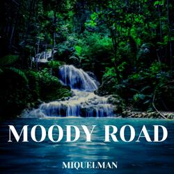 Muddy road