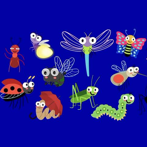 Happy Insects