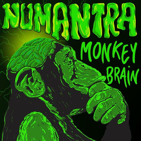 Monkey Brain