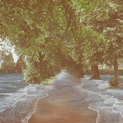 Reflections in the Stone