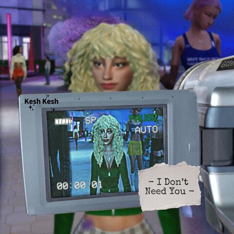 Don't Need You