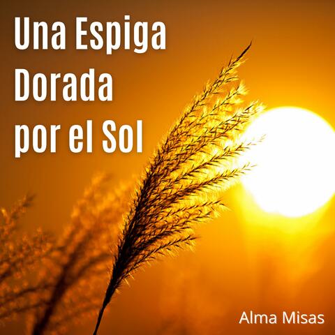 Una Espiga Dorada por el Sol