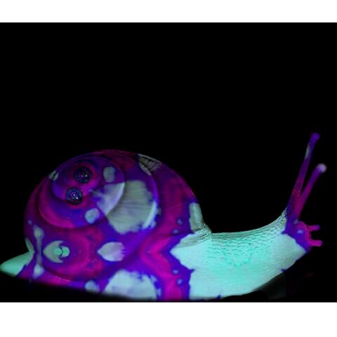 03/04/2021 Live @ Laj (Live)