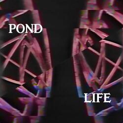 Pond Life