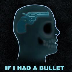 If I had a bullet