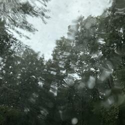 a peaceful rain