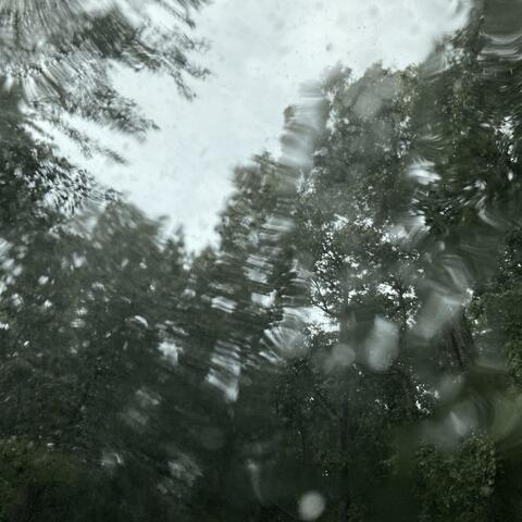 a peaceful rain