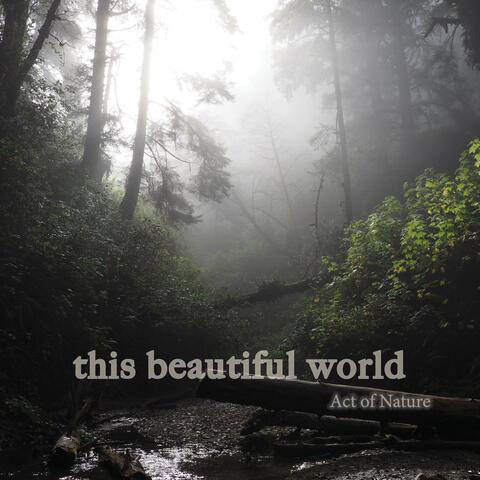 This Beautiful World