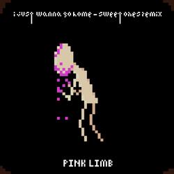 I Just Wanna Go Home