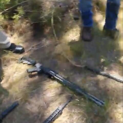 Gang Gang Deletion Gang