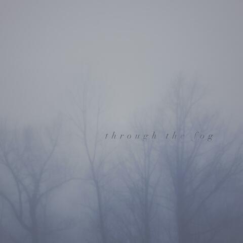 Through the Fog