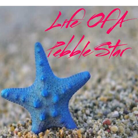 Life Of A Pebble Star