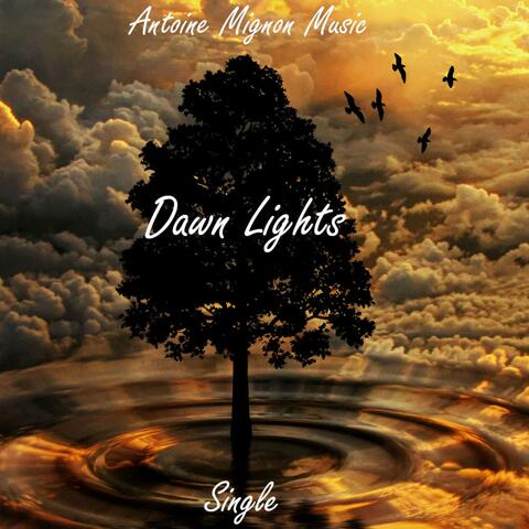 Dawn Lights