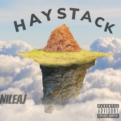 Haystack