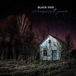 Black Dog