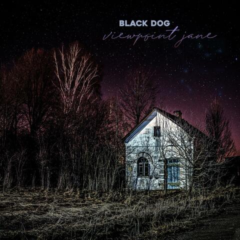 Black Dog