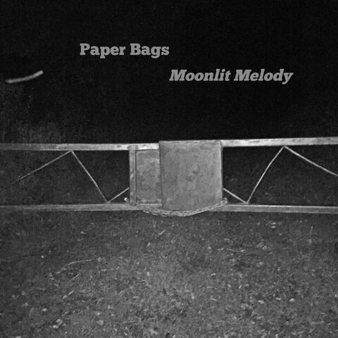 Moonlit Melody
