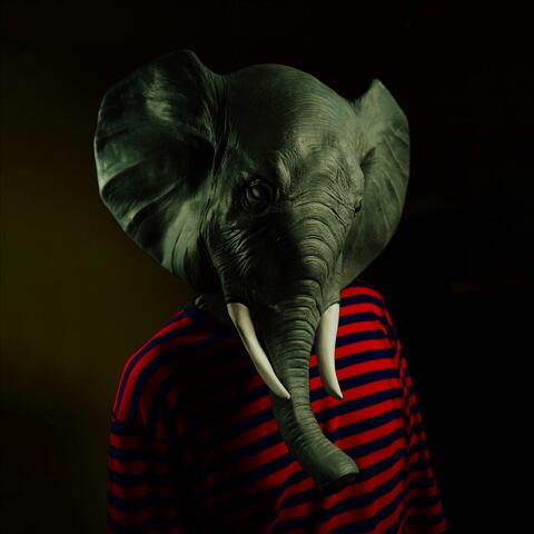 First Elephant