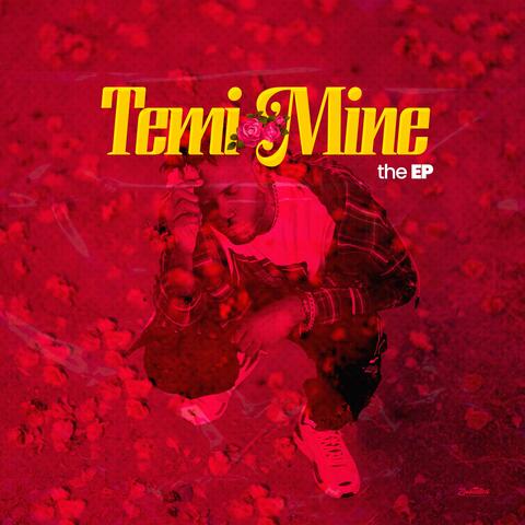 Temi Mine