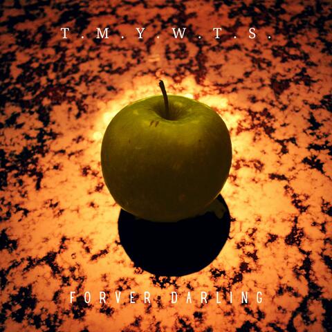 The Mirror You Want To See