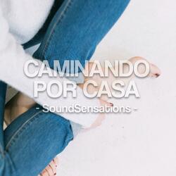 Caminando por Casa