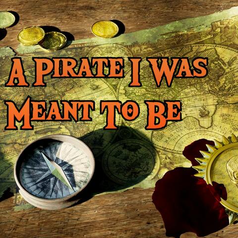 A Pirate I Was Meant To Be