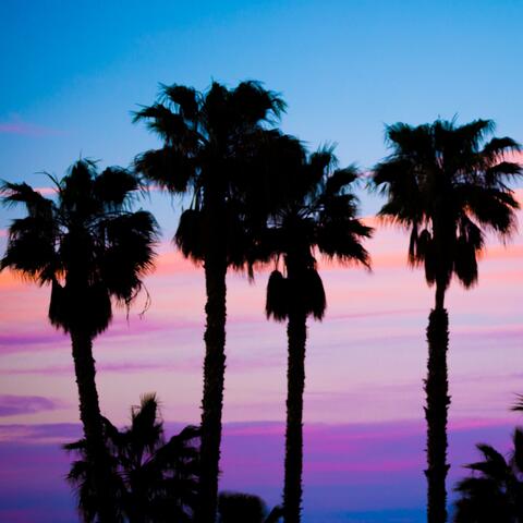 Violet Haze