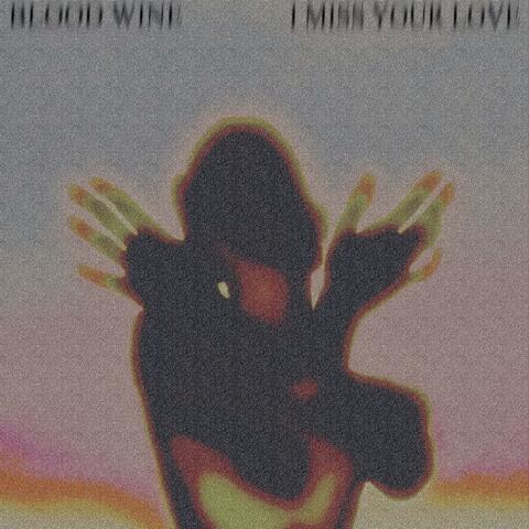 I Miss Your Love