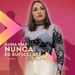 Nunca Es Suficiente