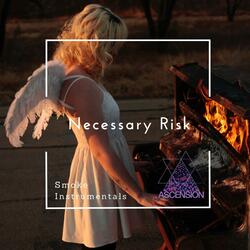 Necessary Risk